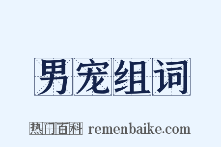 男宠组词是什么意思的图片